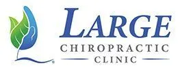 LARGE Chiropractic Clinic Logo