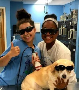 laser therapy