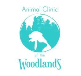 woodlands vet clinic