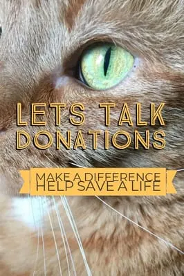 lets-talk-donations.jpg