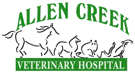 Allen Creek Veterinary Hospital
