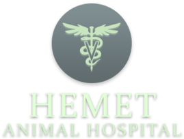 Hemet Animal Hospital