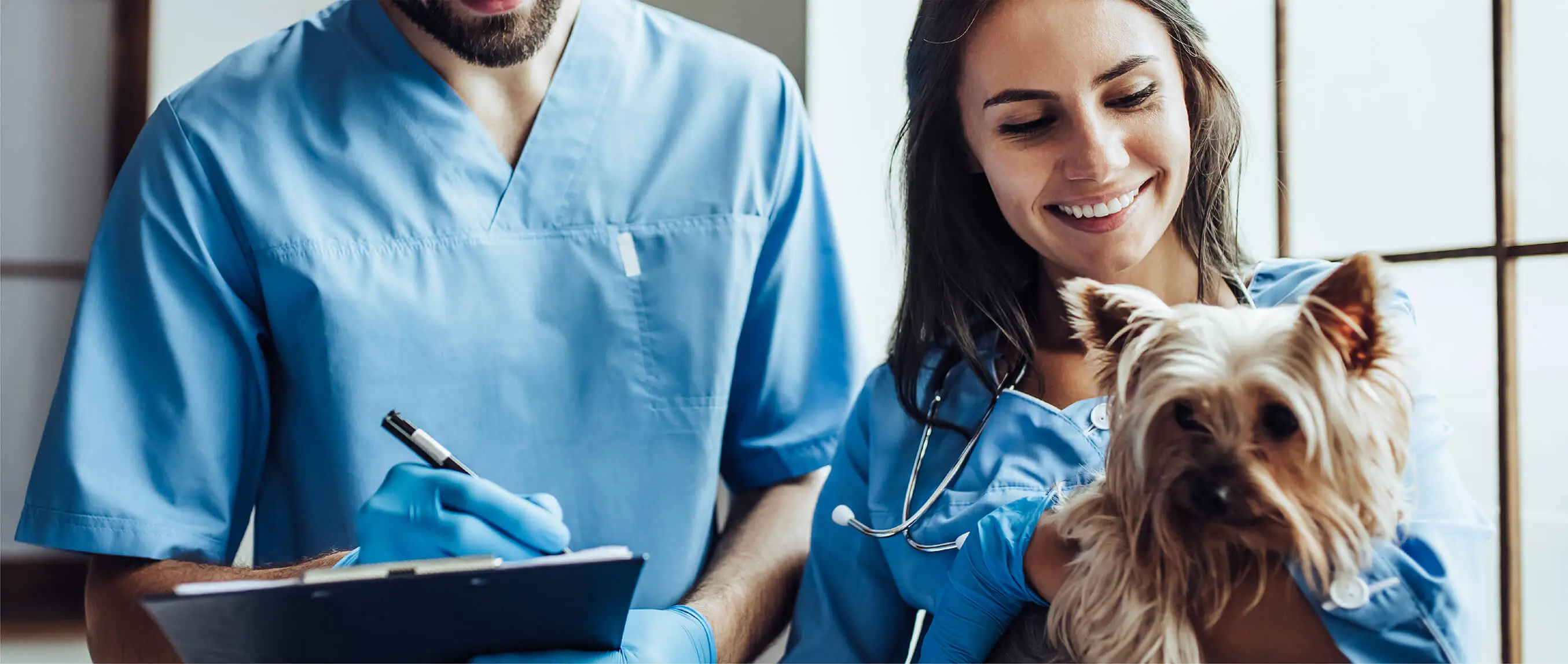 veterinarian holding a dog