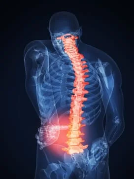 spinal diagram