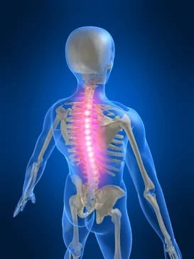 Illuminated spine