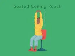 Seated ceiling reach