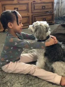 child and terrier dog