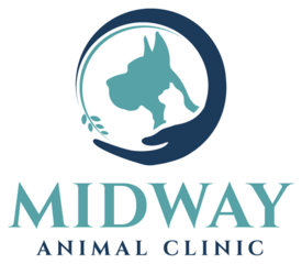 Home | Veterinarian in Winston Salem, NC | Midway Animal Clinic