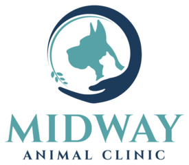 Home Veterinarian In Winston Salem Nc Midway Animal Clinic