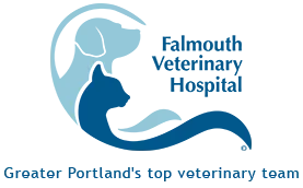 Falmouth Veterinary Hospital