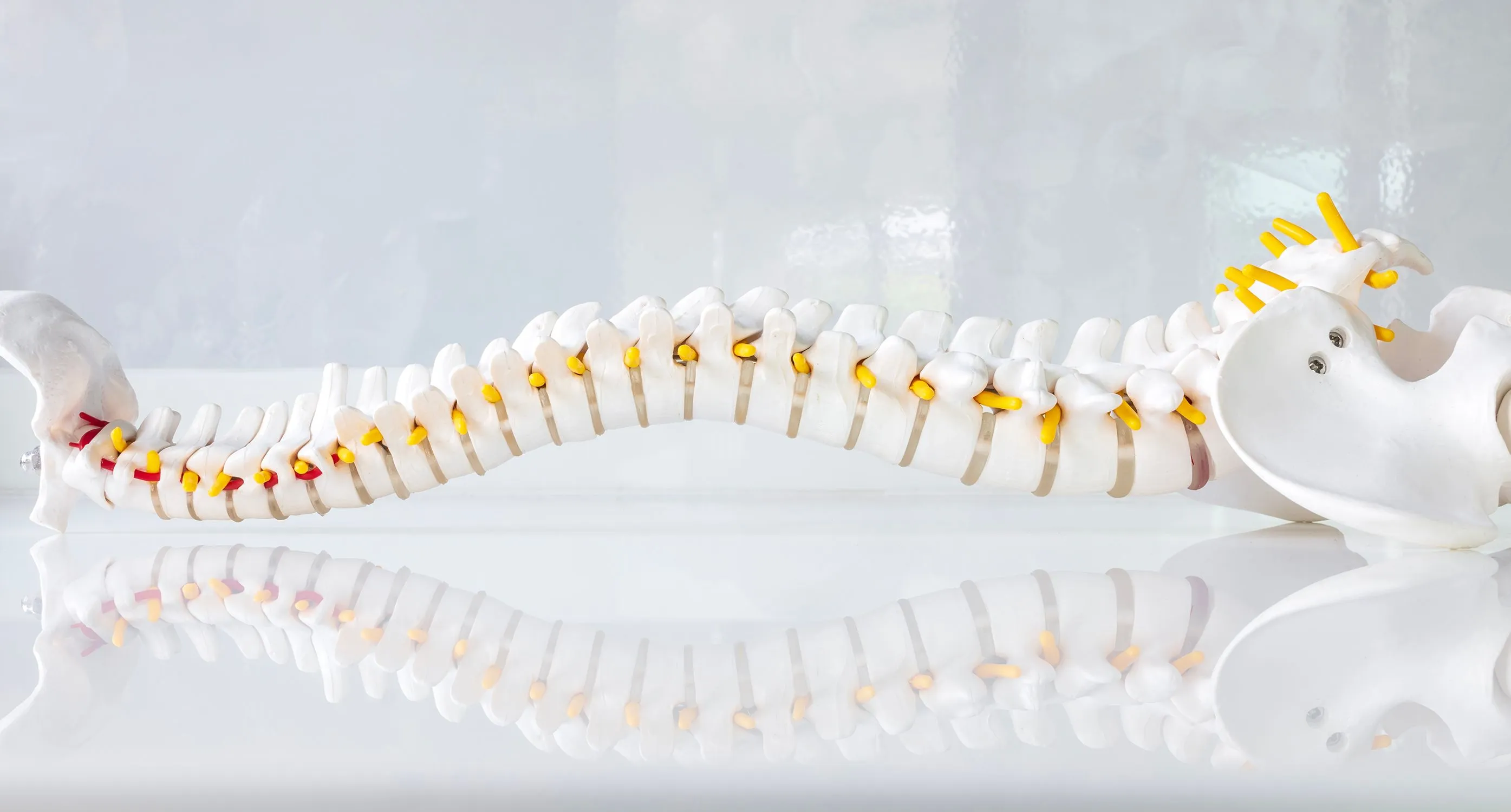 Rock Creek Neurosurgery and Spine