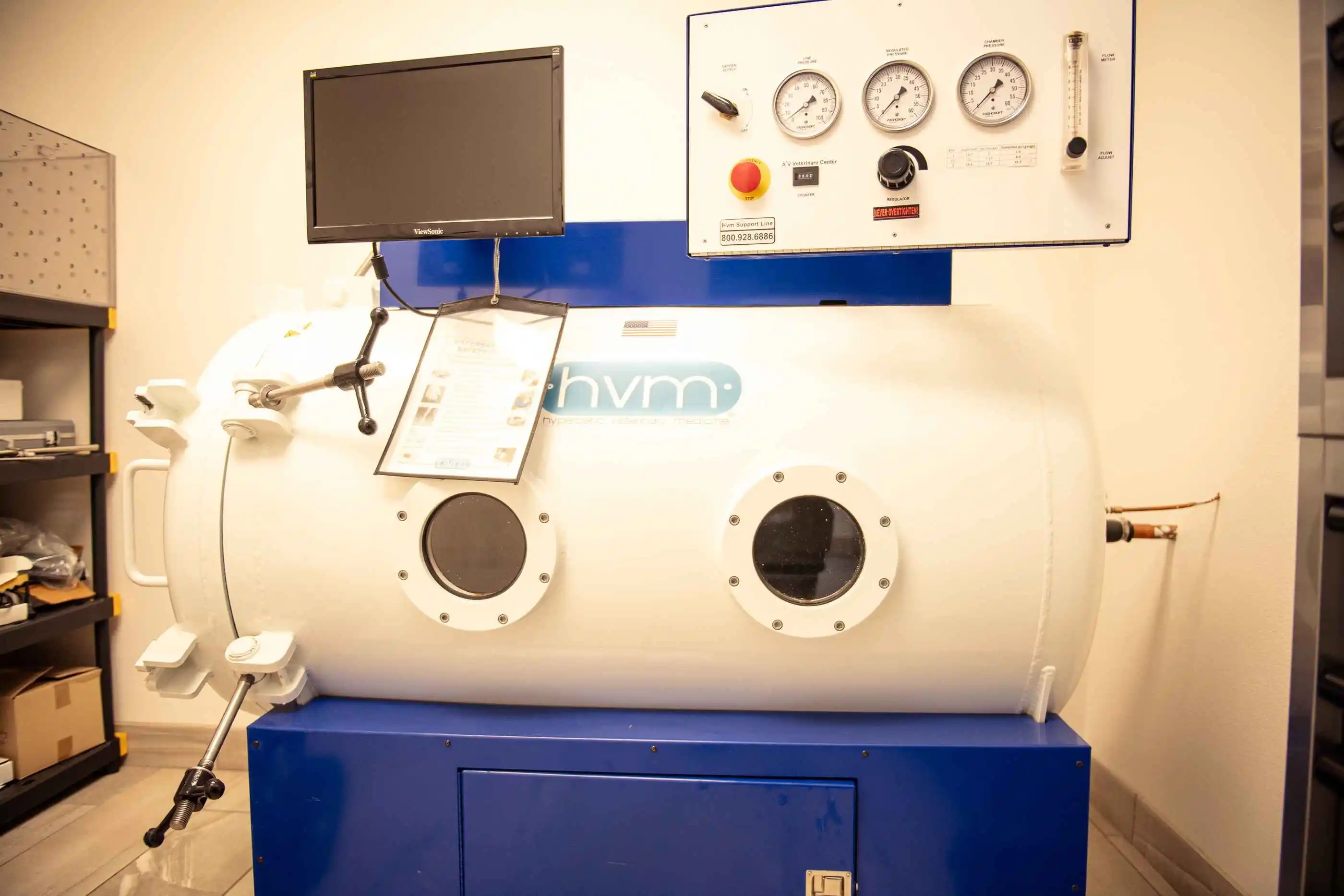 hyperbaric-oxygen-therapy-for-dogs