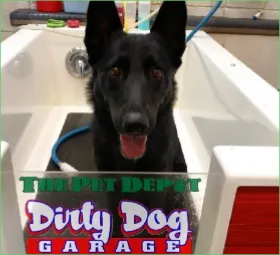 The Dirty Dog Garage