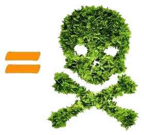 Grass in the shape of a skull and cross bones