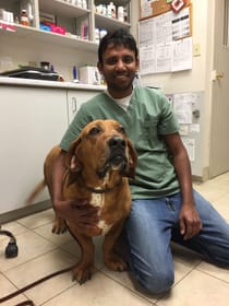 Staff | Veterinarian in Oshawa, ON | Harmony Road Animal Hospital