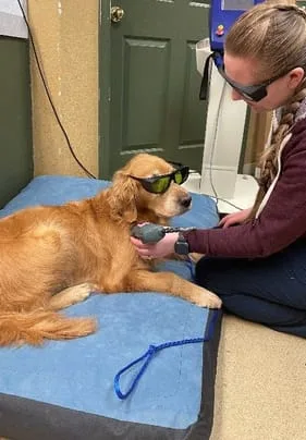 laser-therapy-1