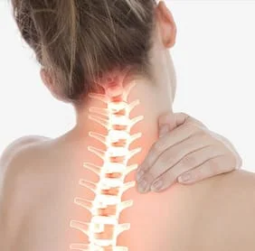 Illuminated spine (neck)