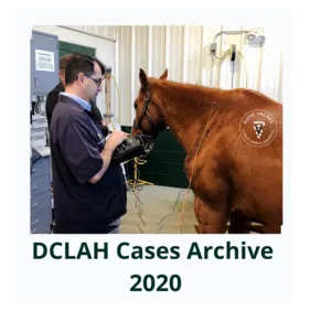 DCLAHCasesArchive2020Cover