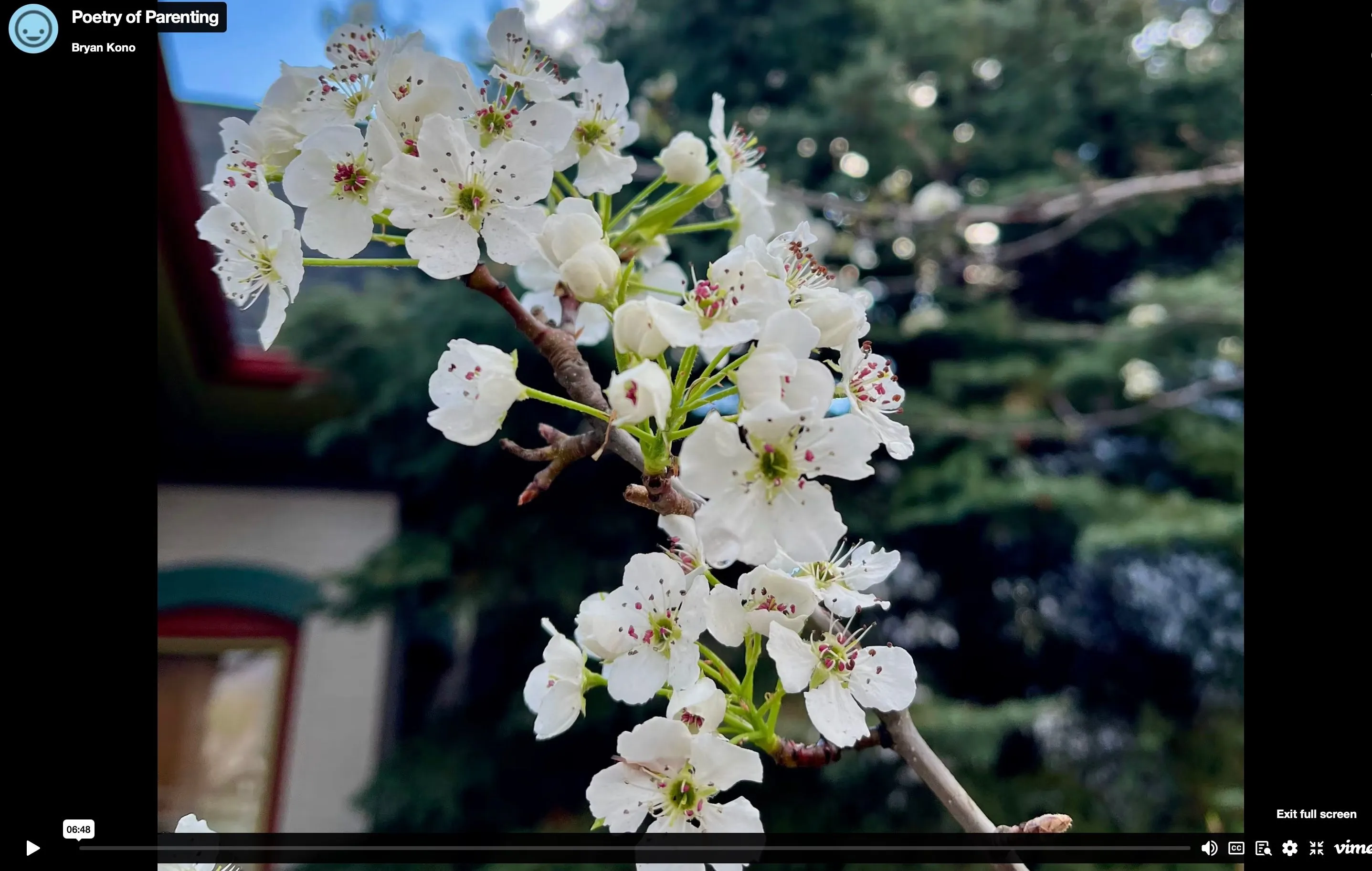 poetry of parenting video invitation