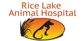 Home Veterinarian In Bailieboro On Rice Lake Animal Hospital