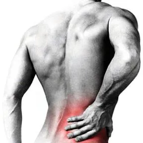 Muscle Spasms and Pain Are the first Signs of Your Spine Being Out of Alignment