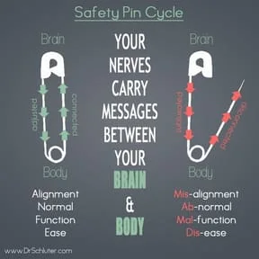 Chiropractic/safety pin analogy