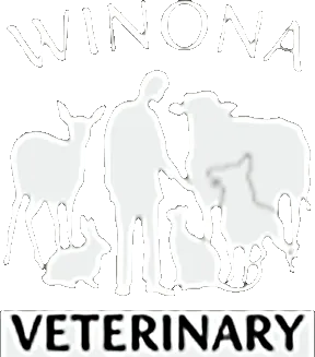 Winona Veterinary