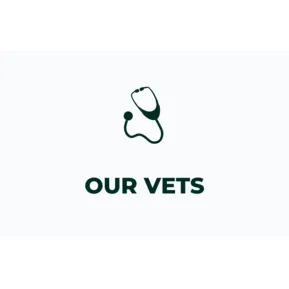 Our veterinarians