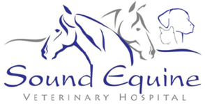 anderson 24 hour vet