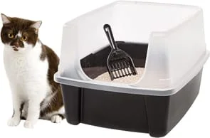 litter box