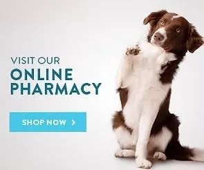 Online Pharmacy Home Delivery