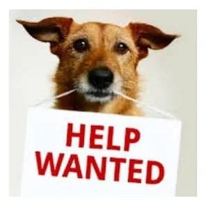 help wanted dog