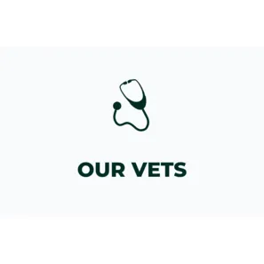 Our vets