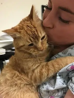 woman kissing cat