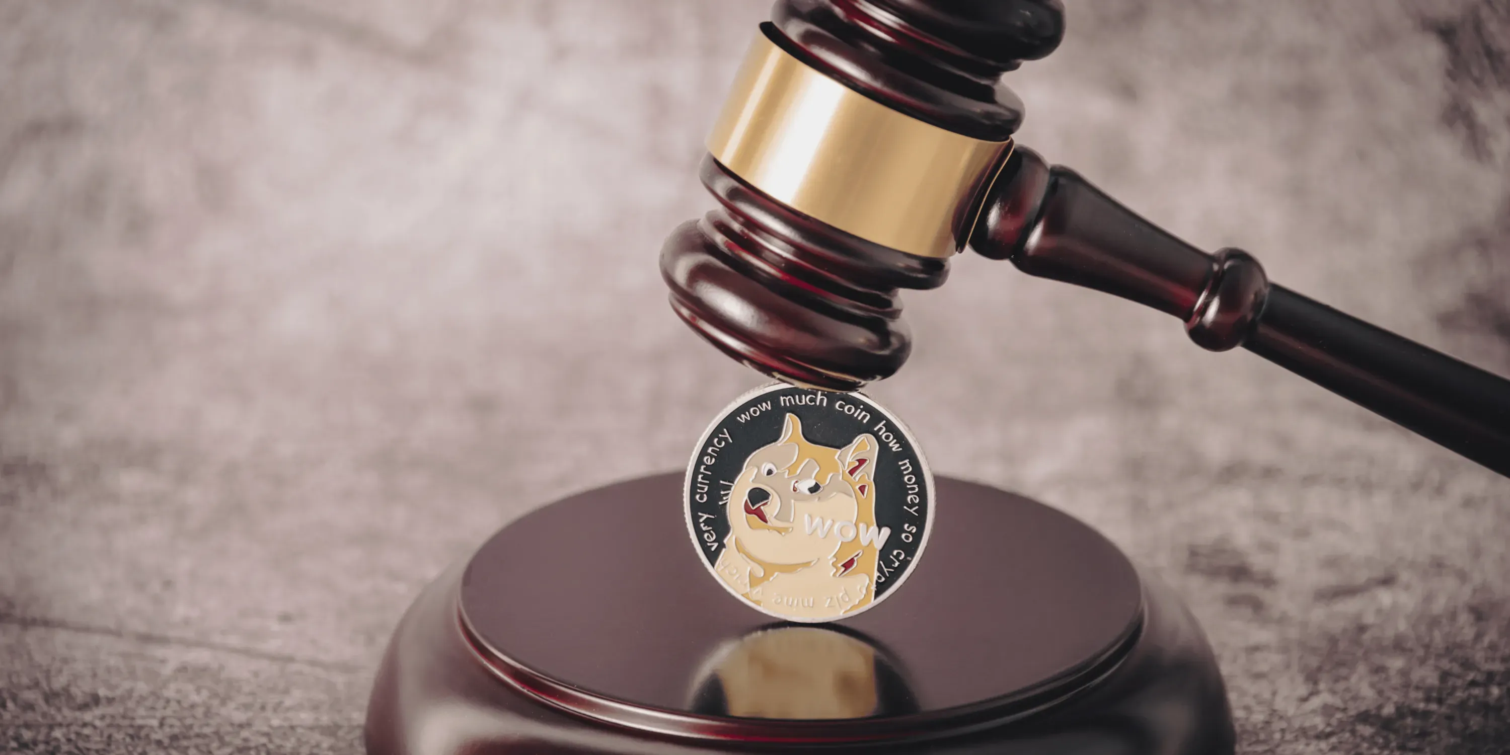 Federal Judge Blocks Access to Immigrant Data Amid DOGE Surveillance Concerns