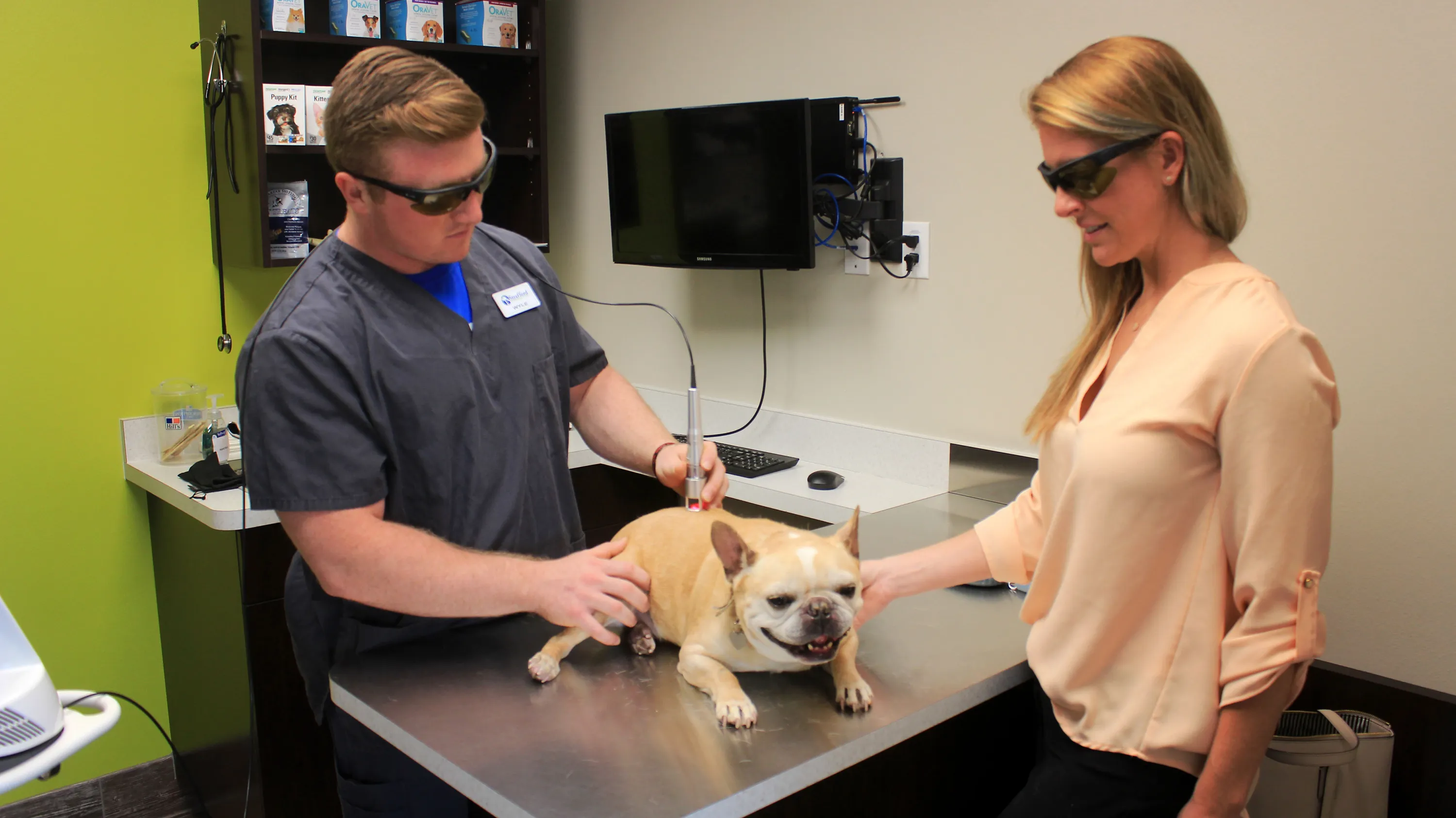 Veterinary Clinic at Work