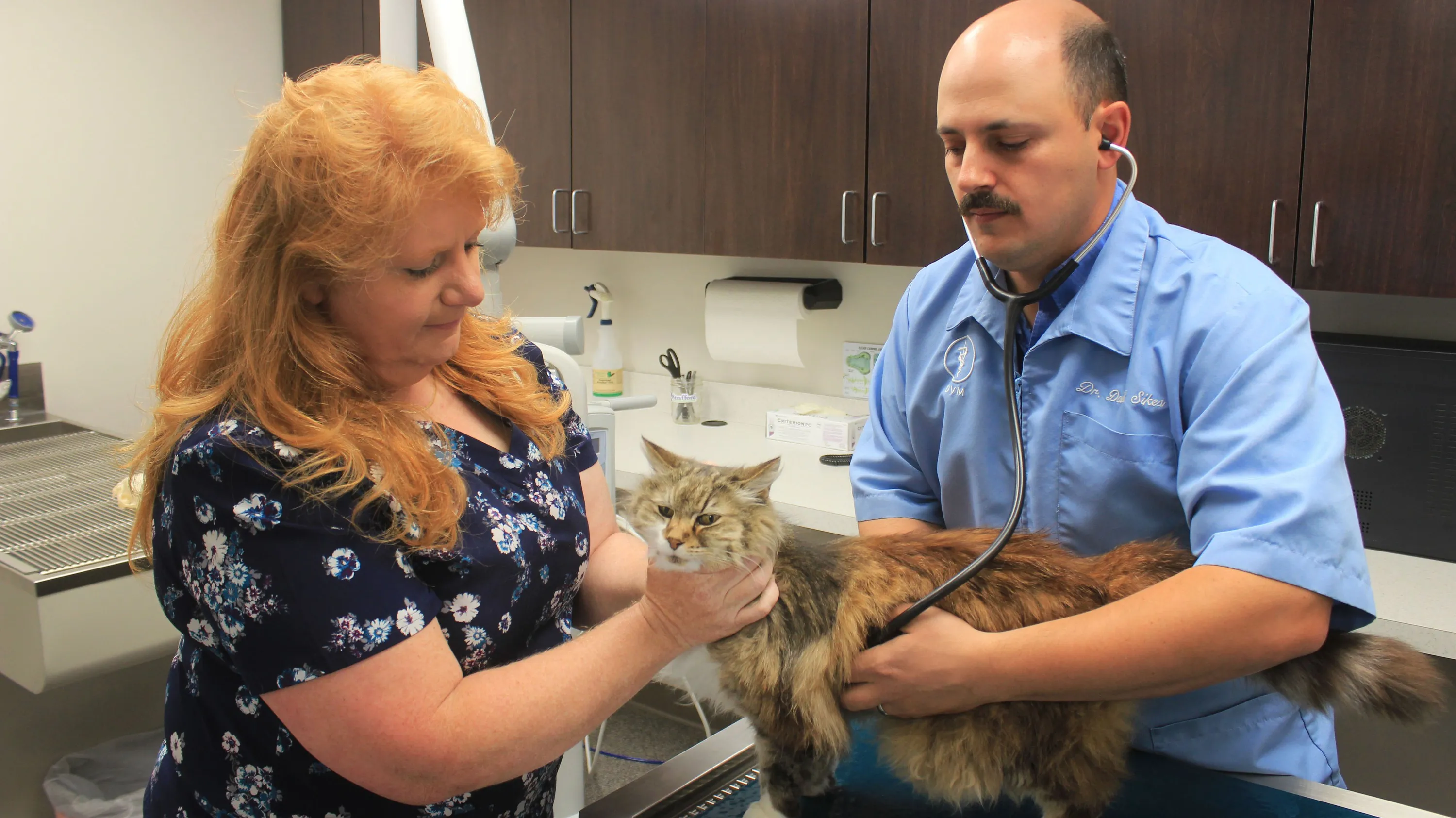 Veterinary Clinic at Work