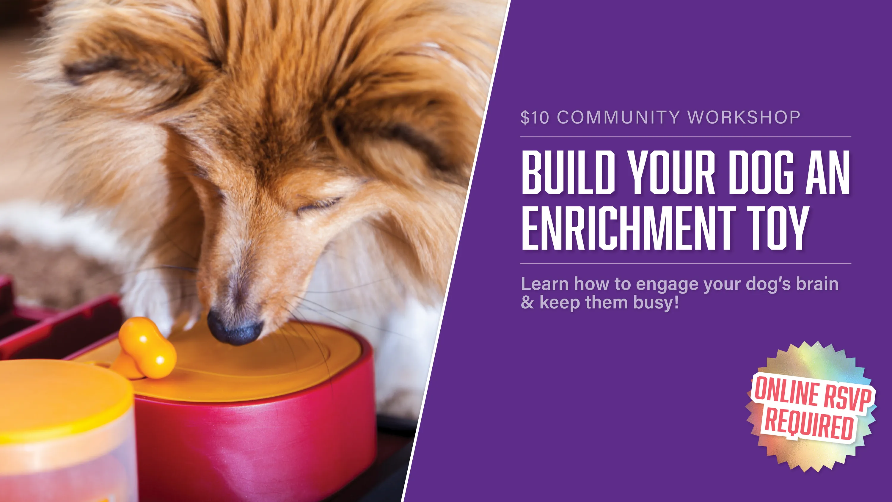 Build Your Dog An Enrichment Toy