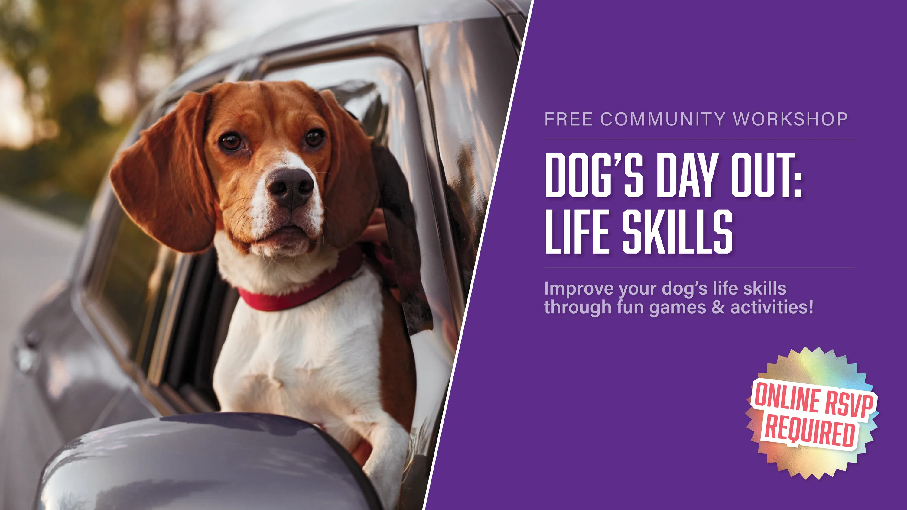 Dog's Day Out: Life Skills