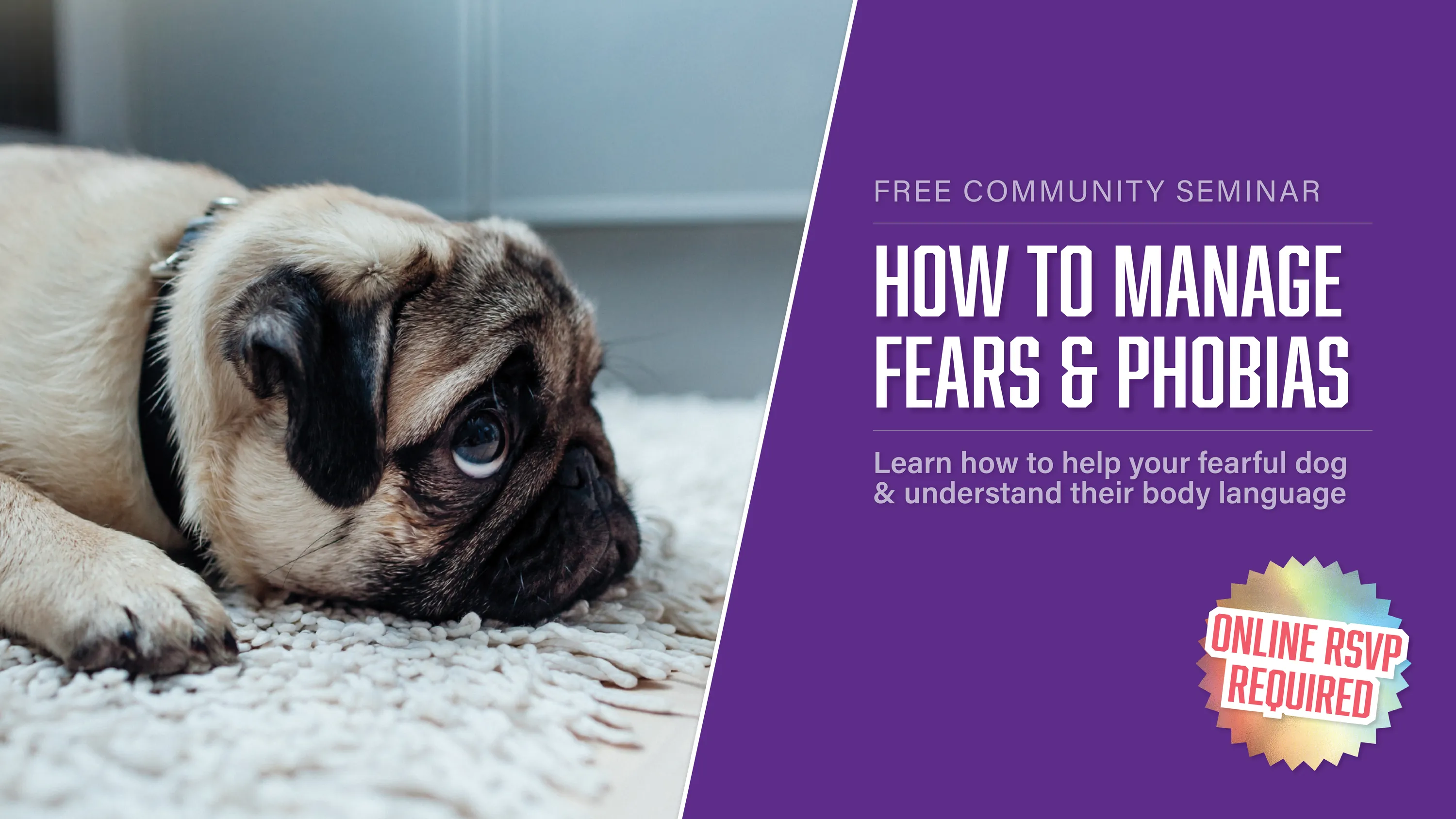 How to Manage Fears & Phobias