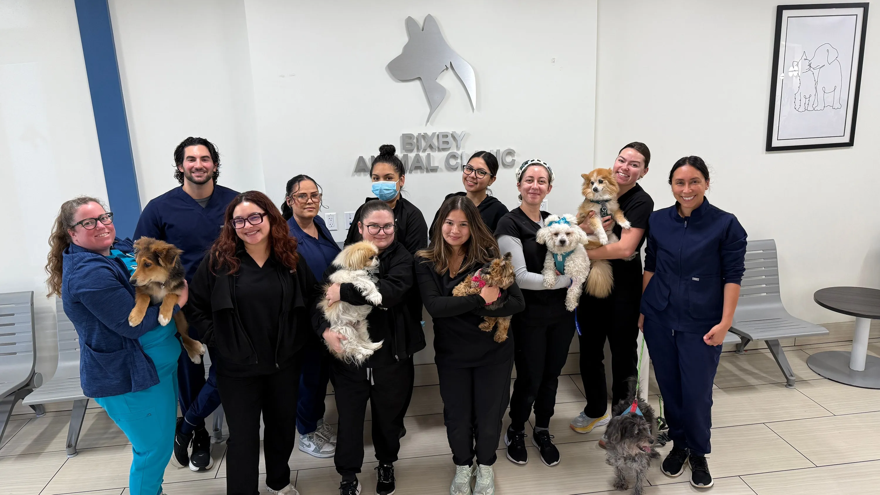 Welcome to Bixby Animal Clinic & Urgent Care