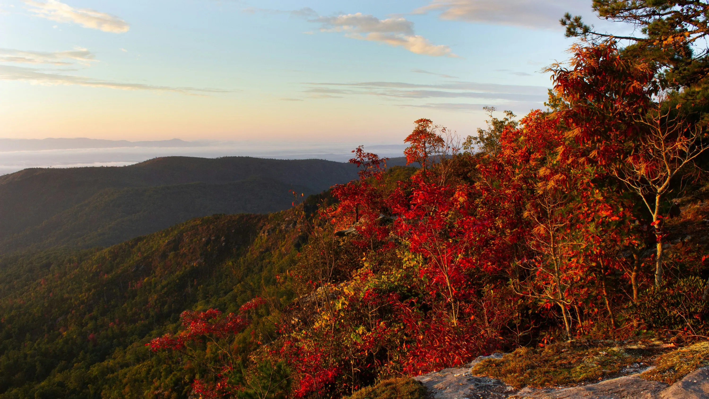 Northern Vermont Dermatology PLC