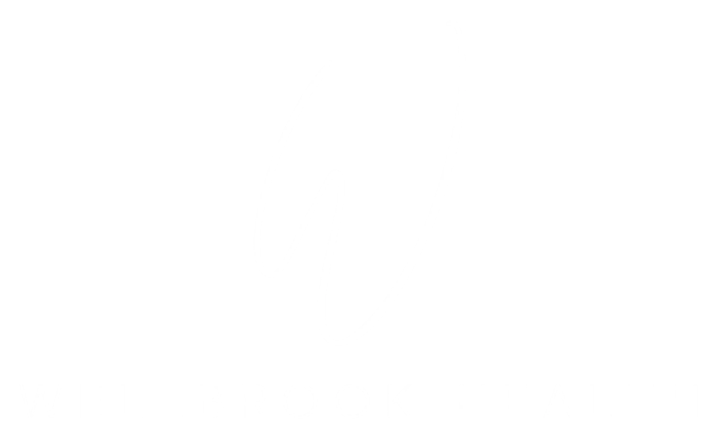 Wellbrook Health