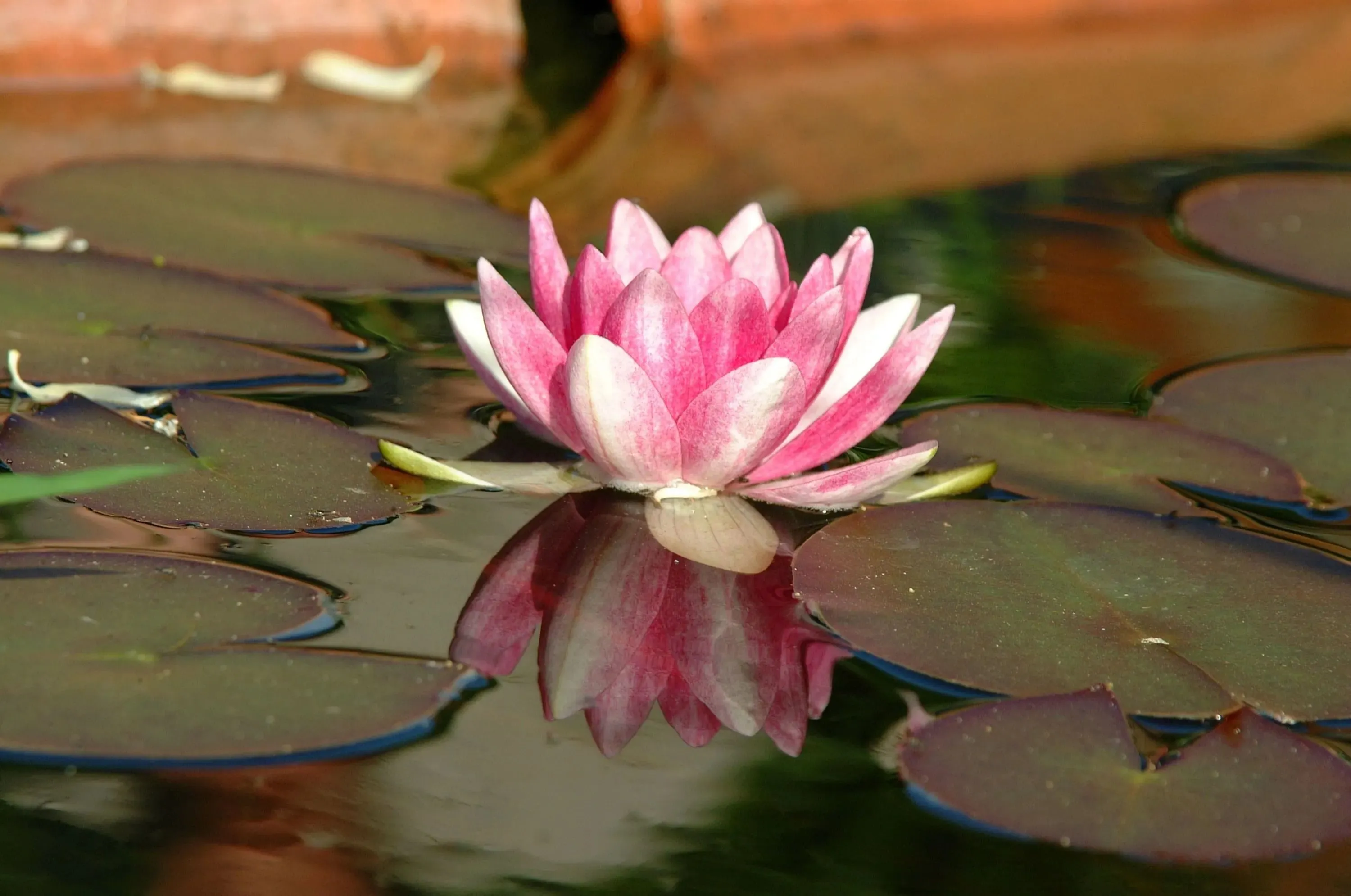 Welcome to Our Practice