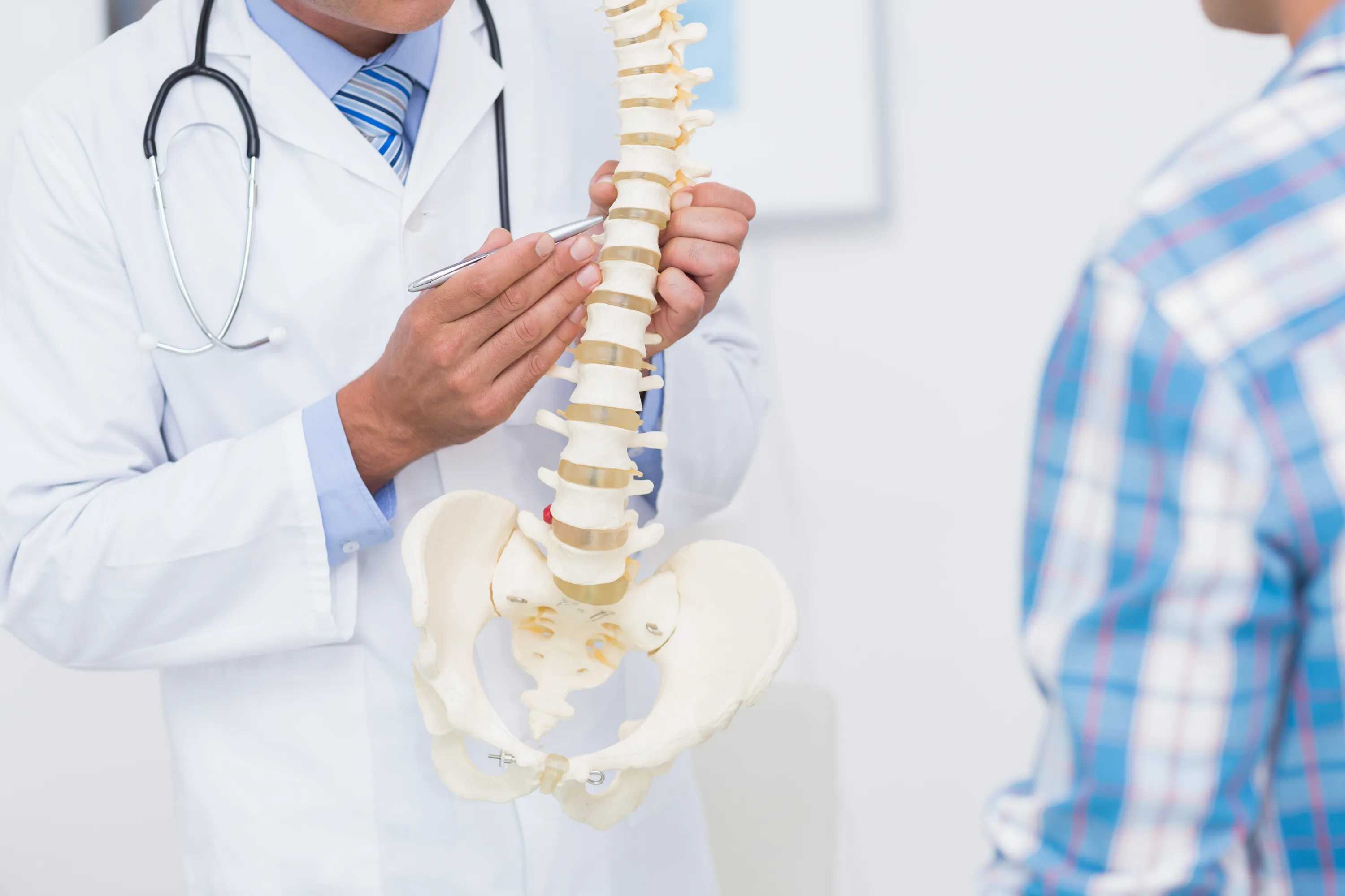 chiropractor explaining scoliosis 