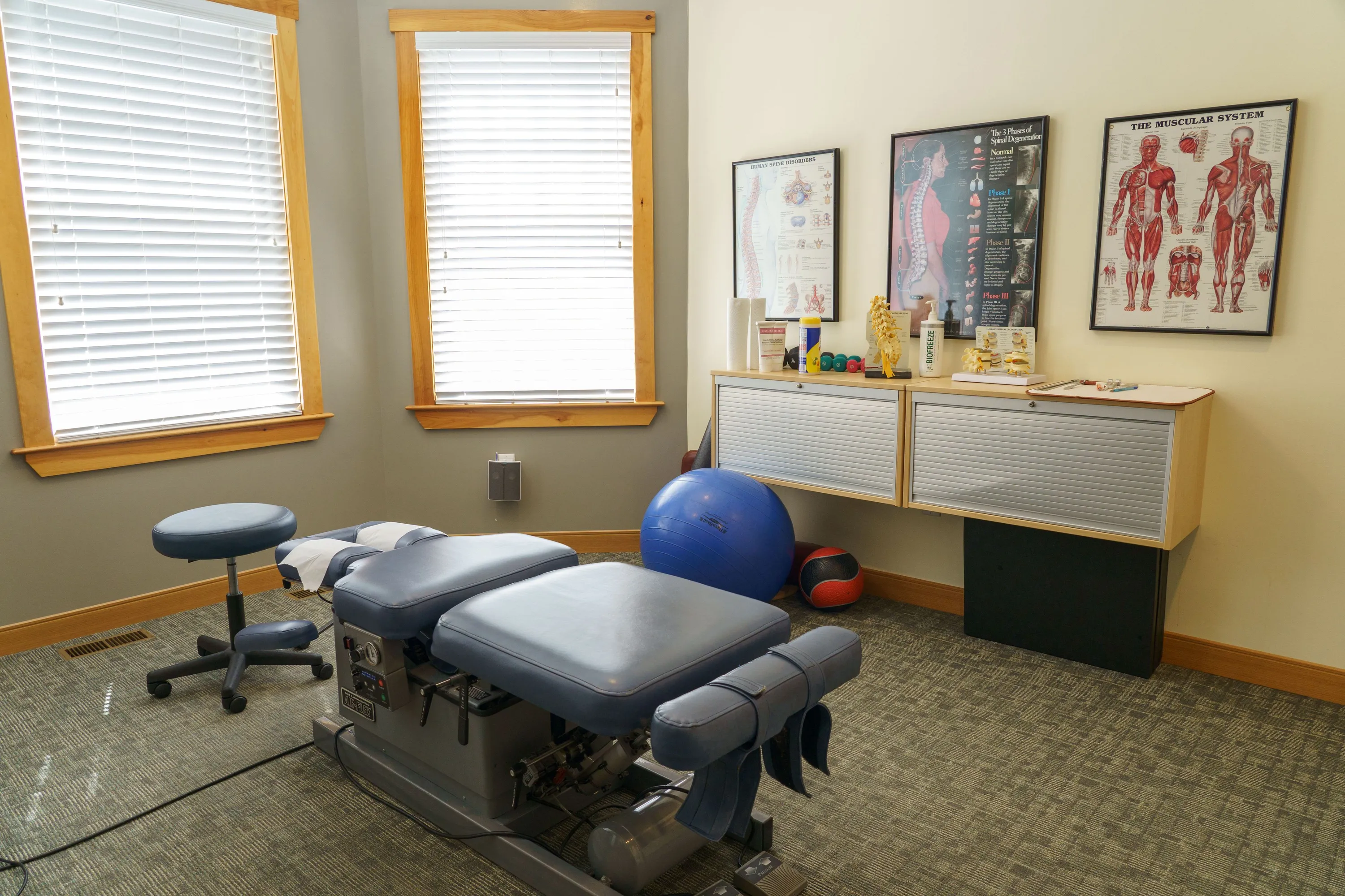 Chiropractic