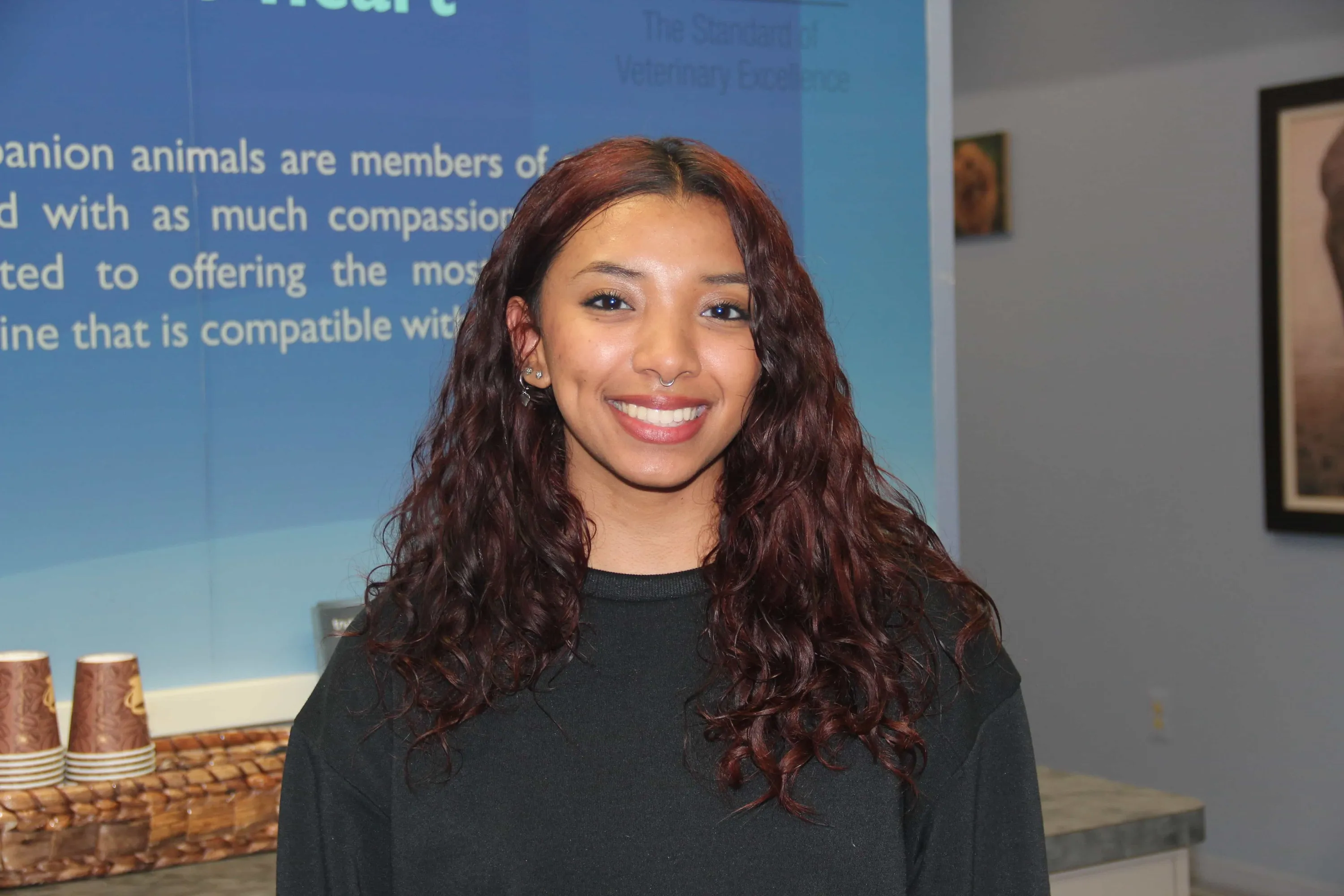 Veterinary Assistant