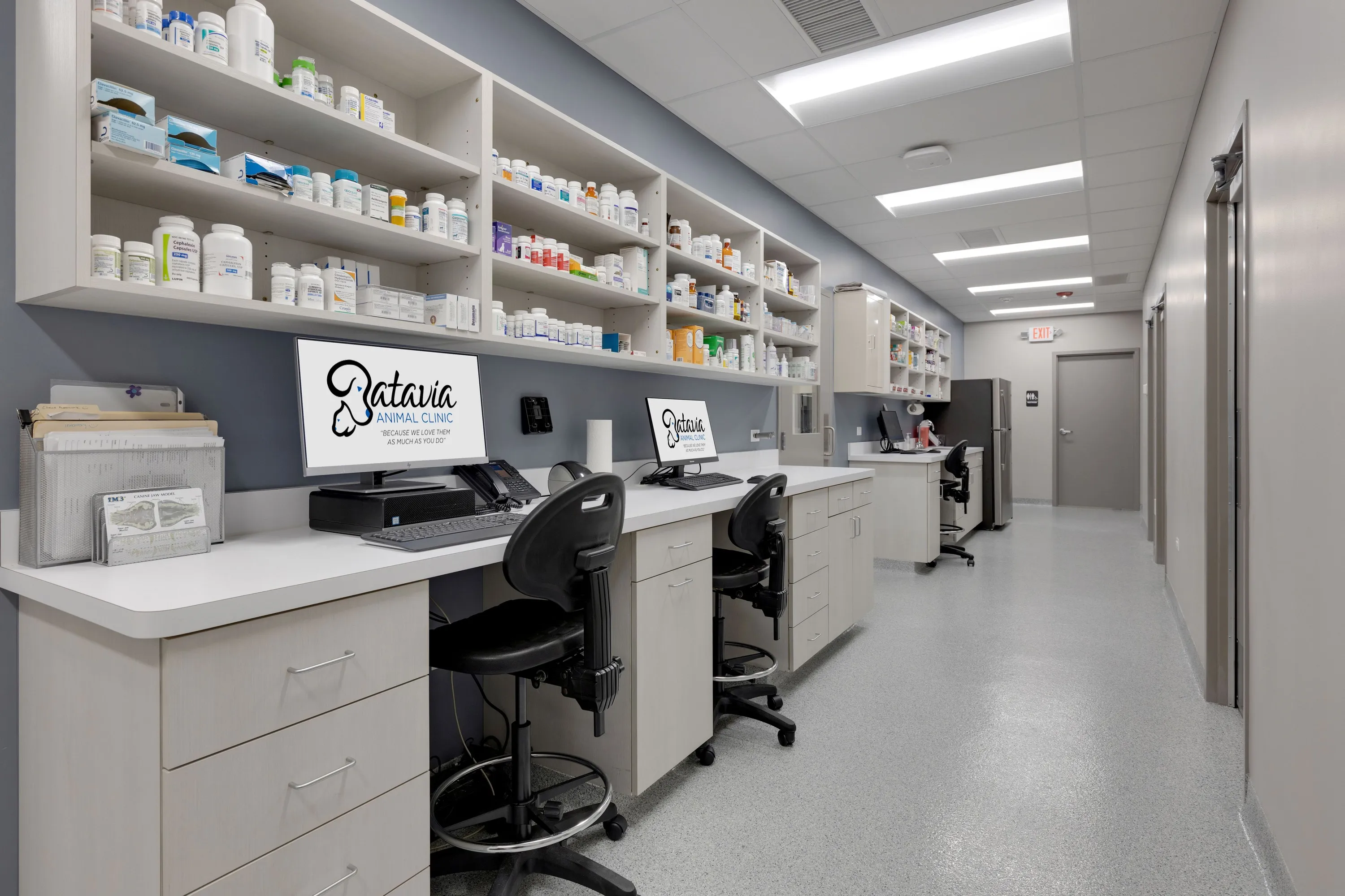 Batavia Animal Clinic Veterinarian in Batavia, IL US