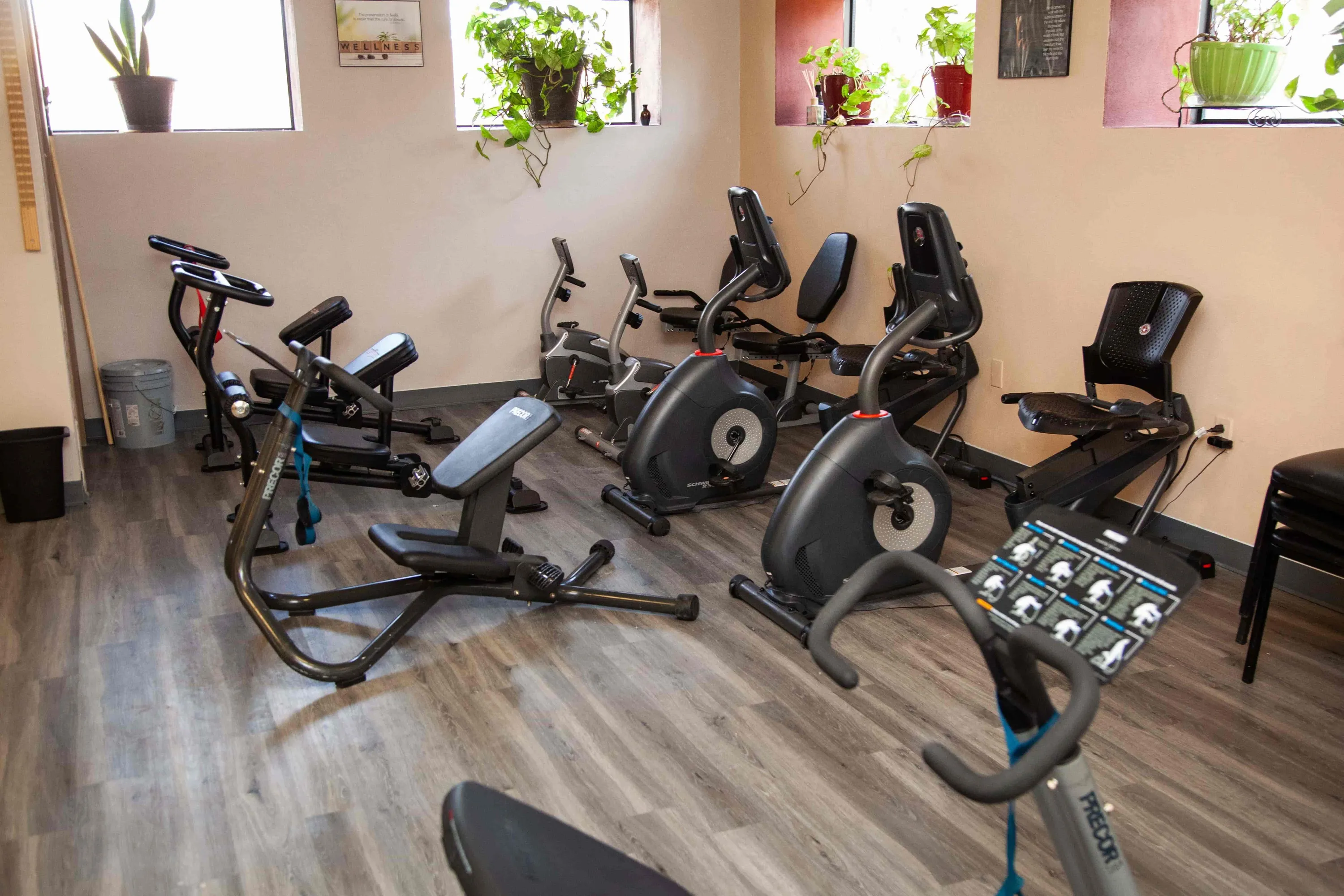 Proficient Chiropractic