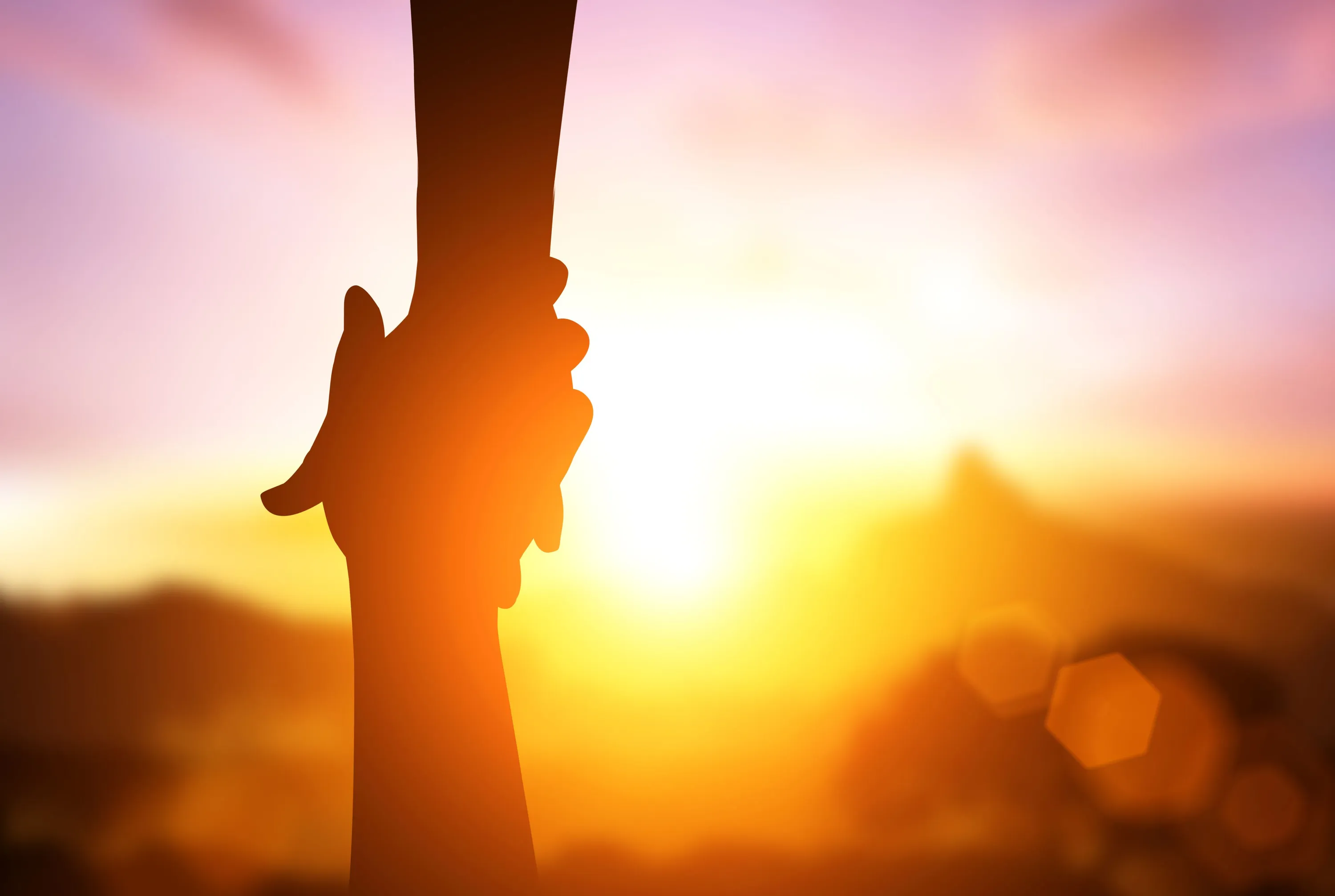 holding hands in a sunset